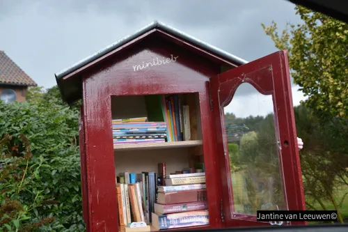 2018 08 25 kiekn bij de buren 47