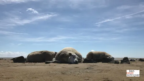 2018 08 31 ben tekstschrijver