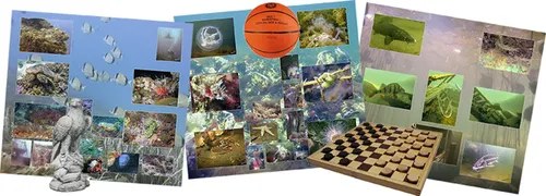 2018 09 03 scubaduiken