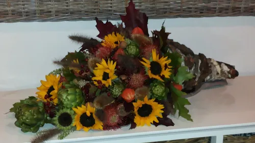 2018 09 18 groei en bloei 2