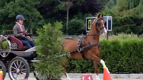 2018 09 23 sanne van harten 001