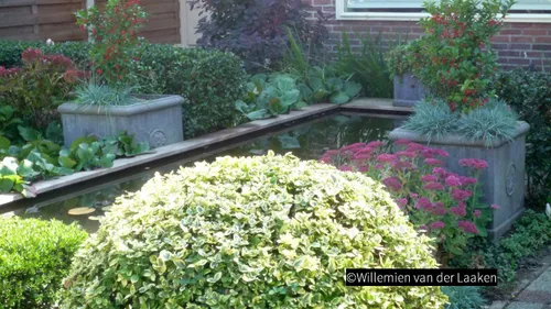 2018 11 03 groei en bloei 02