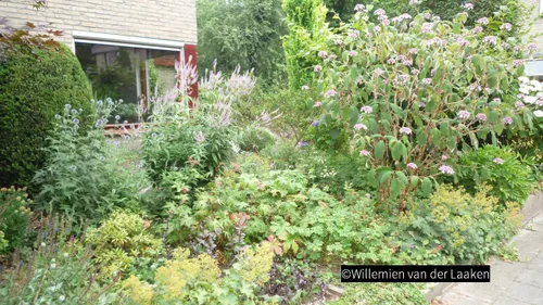 2018 11 03 groei en bloei 03