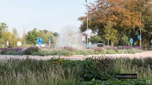 2018 11 03 groei en bloei