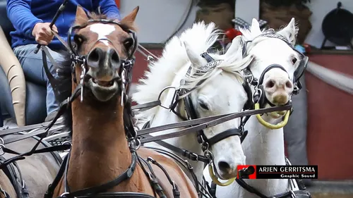 2018 11 03 menindoor dag 3 10