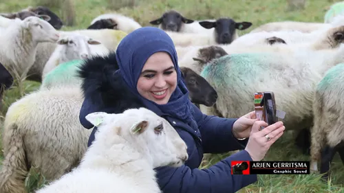 2018 12 05 schapenn 008