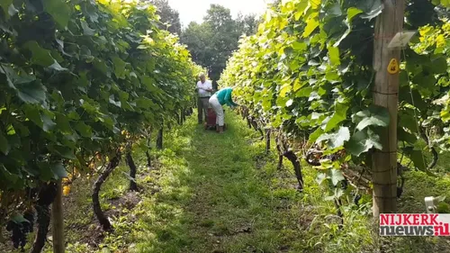 2019 01 09 breede beek 3