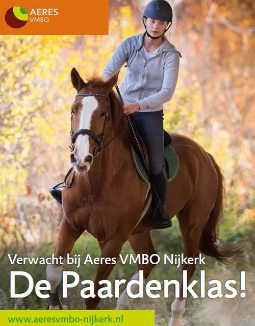 2019 01 21 paardenklas staand flyer krant