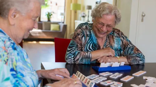 2019 01 28 scarbble amaris dagcentrum in nijkerk