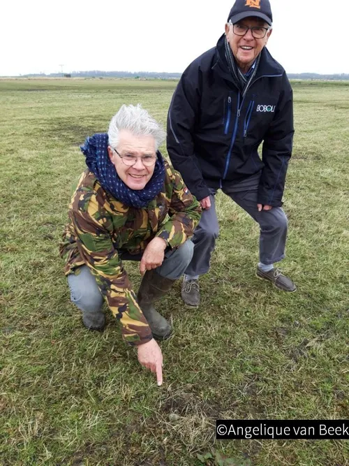 2019 03 06 eerste kievitsei 002