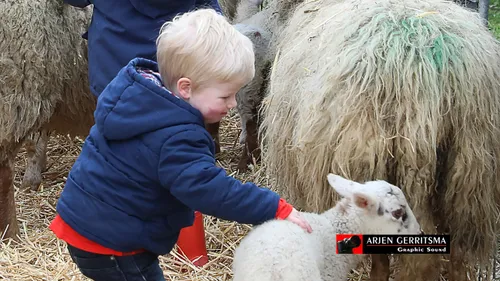 2019 03 2 lammetjesdag 014