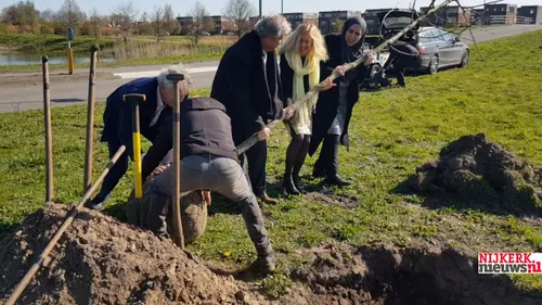 2019 04 01 boom wageningen 003