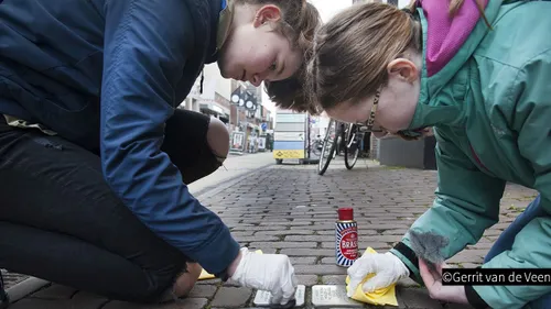 2019 04 06 struikerlstenen