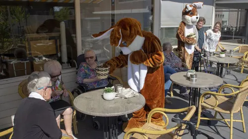 2019 04 19 paashazen nov 2