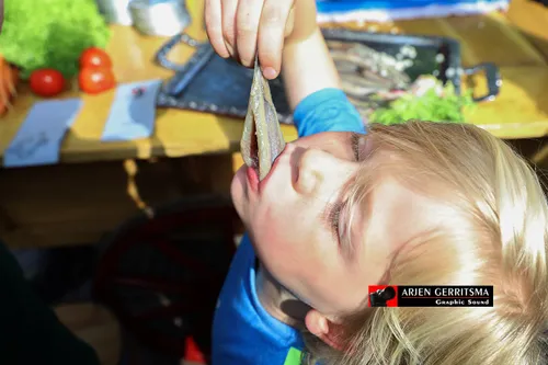 2019 06 12 haringparty 02