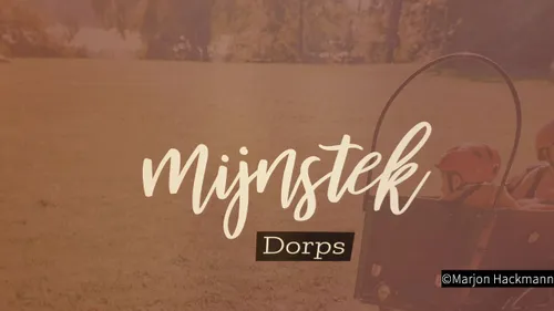 2019 07 04 mijn stek 02