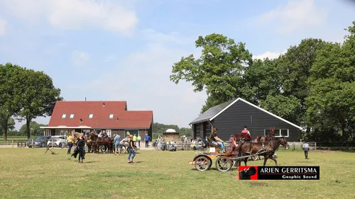 2019 07 06 dap aangespannen paard 08