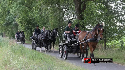 2019 07 06 dap aangespannen paard 11