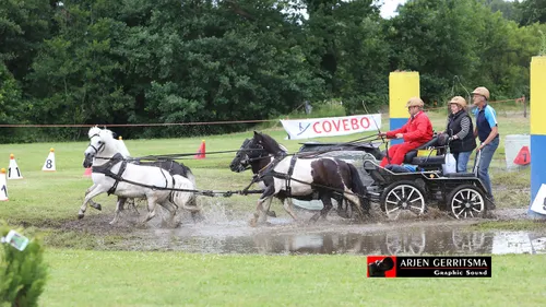 2019 07 06 dap aangespannen paard 17