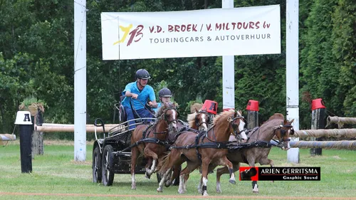 2019 07 06 dap aangespannen paard 22