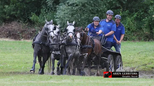 2019 07 06 dap aangespannen paard 25