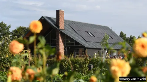 2019 09 07 scouting 001