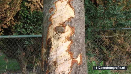 2019 09 08 ongeval 2