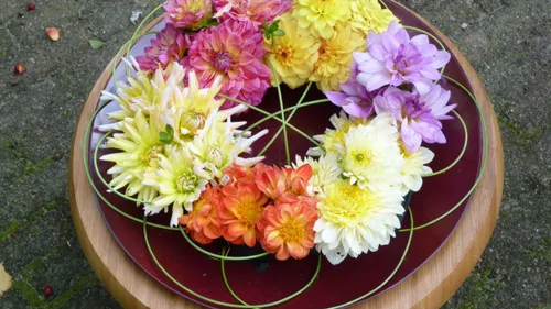 2019 09 13 groei en bloei 2