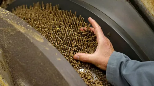 2019 09 26 abz diervoeding pers brok jib1568