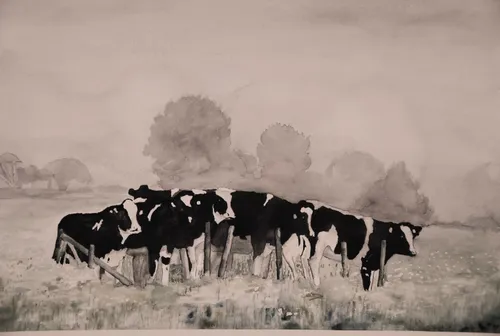 2019 10 22 aquarel karel schimmer 2