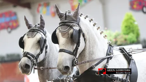 2019 11 03 menindoor 08