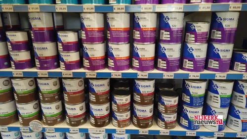 2019 11 19 domselaaar 06