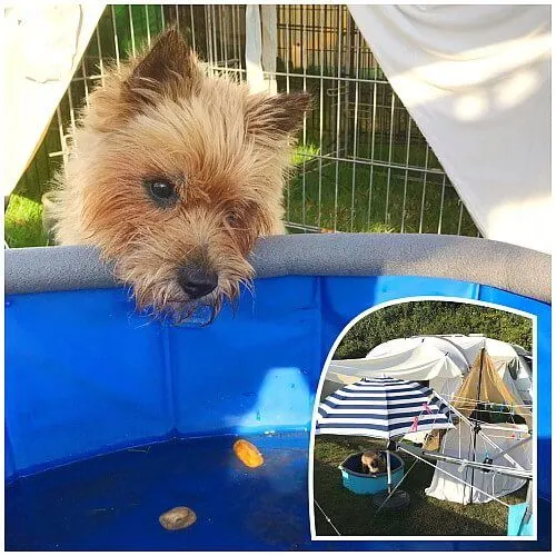 2019 11 29 pelle foto ben tekstschrijver