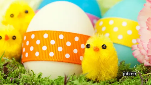 2020 01 20 pasen grass cute celebration decoration young food 1259465 pxhere