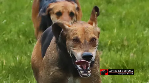 2020 01 25 slipjacht 12