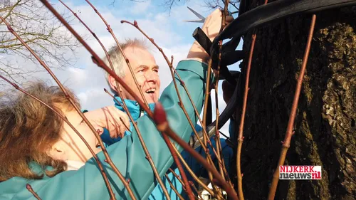 2020 02 19 eikenprocessierups vogelnest 01