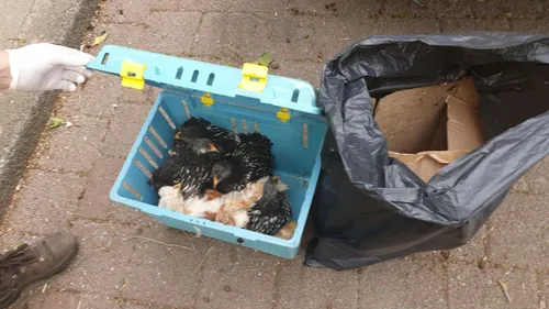 2020 04 01 direnambulance 1