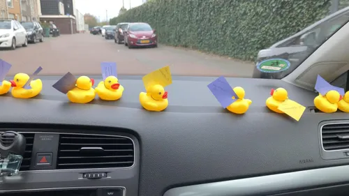 2020 04 18 badabounce badeend 2