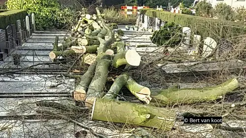 2020 06 11 begraafplaats hoevelaken 3