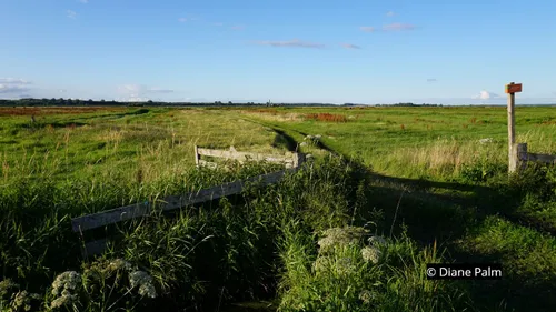2020 07 11 polder arkemheen 04 stoomgemaal