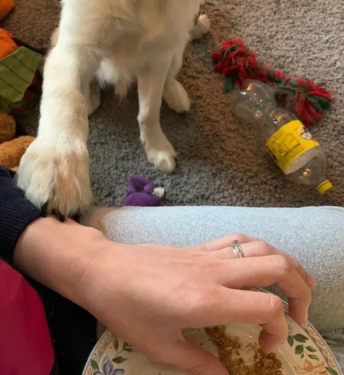 2020 08 12 milo romy 2