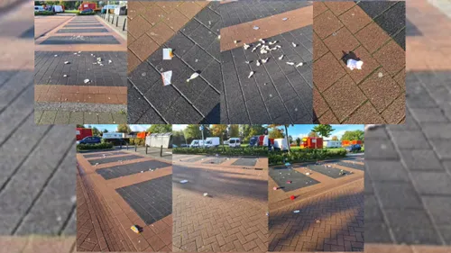 2020 10 13 paasbos vuil