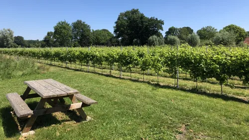 2020 11 03 middeldorp 3