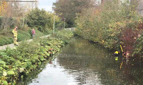 2020 11 05 brc3bccknerlaantje