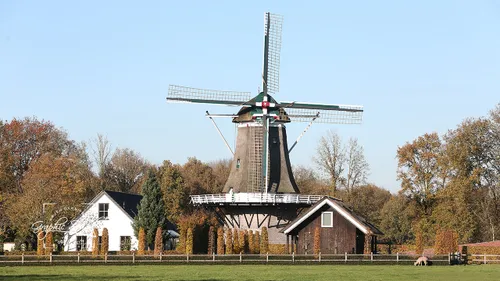 2021 01 27 appelse molen arjen