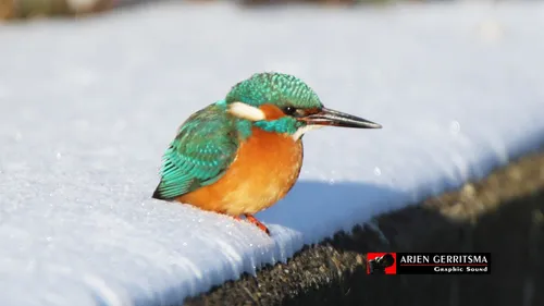 2021 02 13 ijspret schaatsen winter 22
