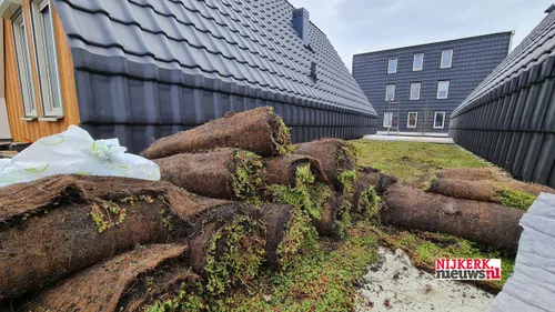 2021 02 22 groen op dak gras 06