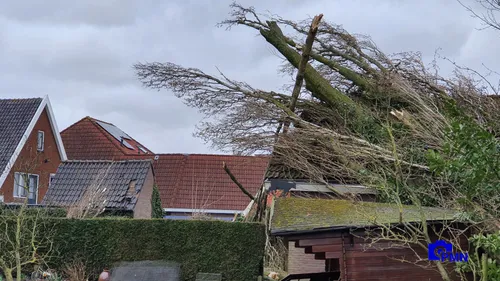 2021 03 11 omgevallen boom