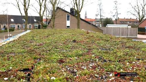 2021 03 25 klimaatkamer 09