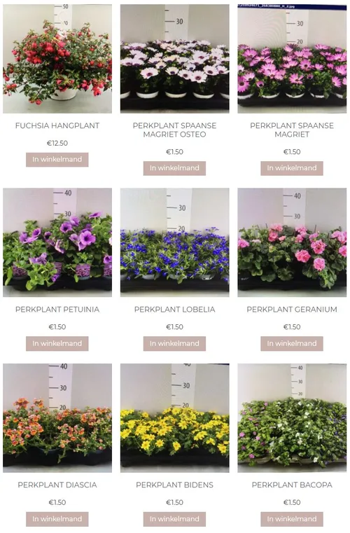 2021 05 07 irmas missie